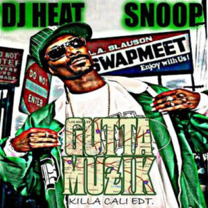 Driving Down The Freeway (verse) از Snoop Dogg ft Young Buck