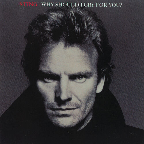 Why Should I Cry For You? از Sting
