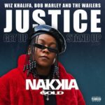 Justice (Get Up, Stand Up) از Nakkia Gold
