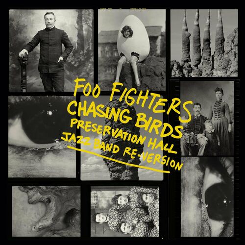 Chasing Birds (Preservation Hall Jazz Band Re-Version) از Foo Fighters