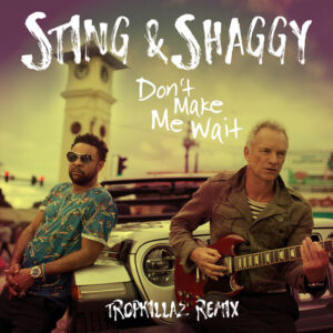 Don't Make Me Wait (Tropkillaz Remix) از Sting