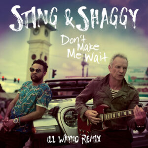 Don't Make Me Wait (iLL Wayno Remix) از Sting