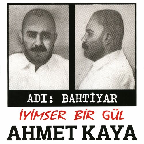 İyimser Bir Gül از Ahmet Kaya