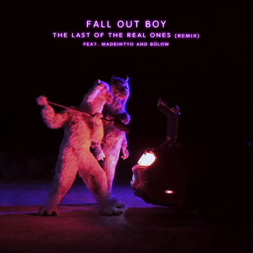 The Last Of The Real Ones (Remix) از Fall Out Boy