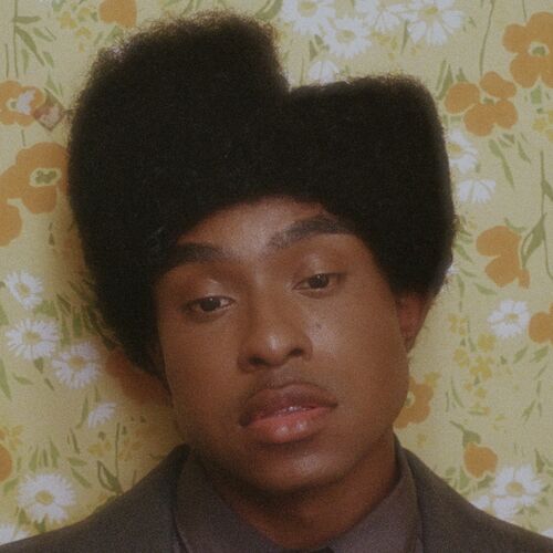 NEVER WANNA LET YOU GO از Bren Joy