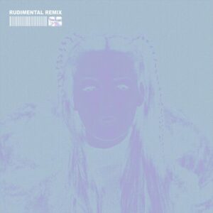 The Days (Rudimental Remix) از CHRYSTAL