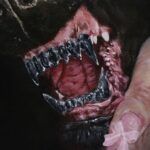 POOKIE’S REQUIEM (feat. Summer Walker) (hehe look y'all I made it longer) از SAILORR