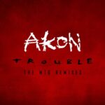 Trouble: The MTG Remixes از Akon