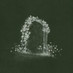 Here Lies the Fool از Kameron Marlowe