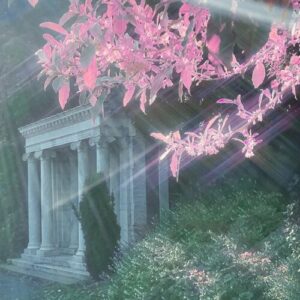 no face shawty از MUPP