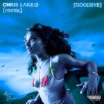 Goodbye (Warm Up) (Chris Lake Remix) از Ayra Starr