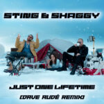 Just One Lifetime (Dave Audé Remix) از Sting