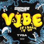 Vibe (If I Back It Up) از Cookiee Kawaii