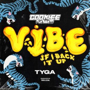 Vibe (If I Back It Up) از Cookiee Kawaii
