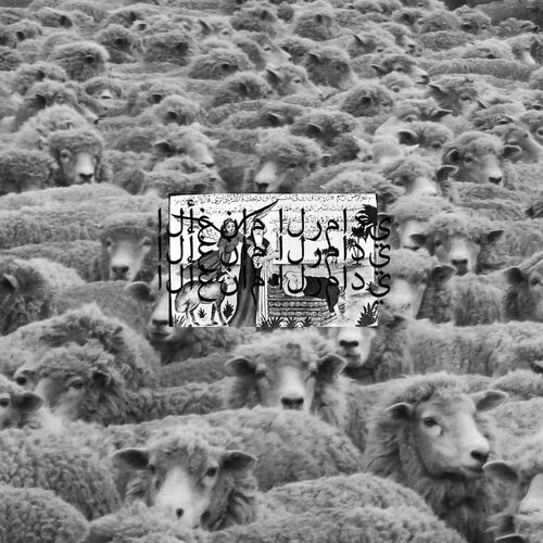 Grey Sheep II از $uicideboy$