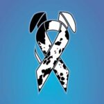 Oh What A Dream We Had از Il Divo