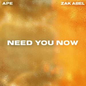 Need You Now (Radio Edit) از APE