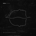 No Loss, No Love از Spiritbox