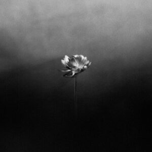 Flood از Little Simz