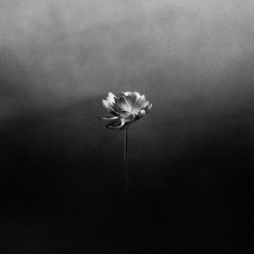 Flood از Little Simz