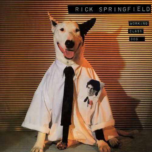 Working Class Dog از Rick Springfield