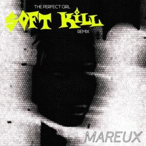 The Perfect Girl (Soft Kill Remix) از Mareux