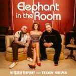 Elephant in the Room (feat. Teddy Swims) از Mitchell Tenpenny