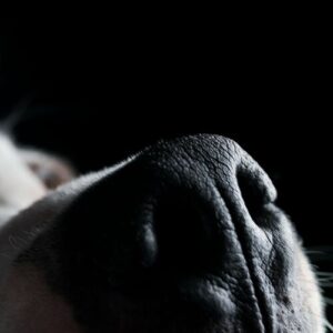 Money از Roger Waters