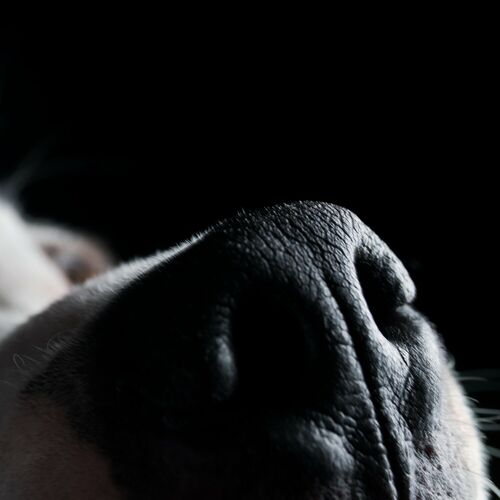 Money از Roger Waters