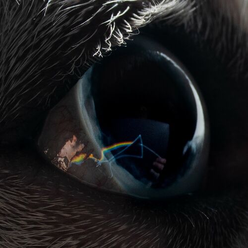 Time از Roger Waters