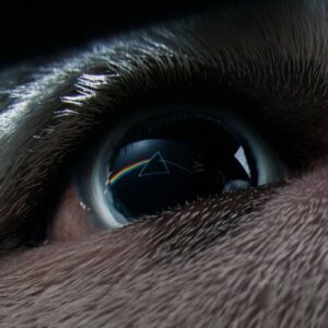 Speak To Me / Breathe از Roger Waters