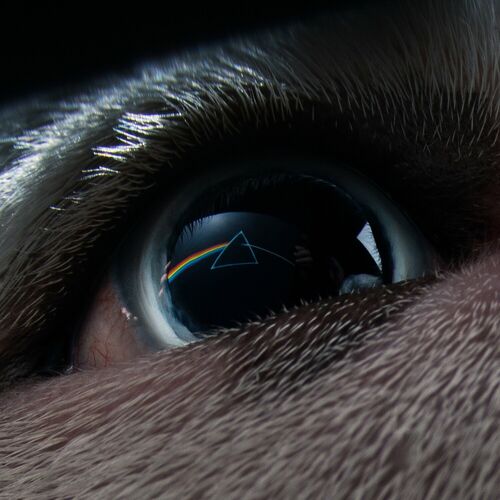 Speak To Me / Breathe از Roger Waters