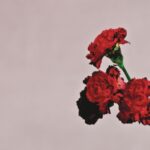 Love In The Future (Expanded Edition) از John Legend