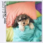 Sleepyhead 2025 از Passion Pit