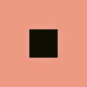 If Only I Could Wait b/w Walk Home از Bon Iver