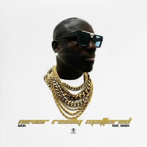 Never Really Mattered از Akon