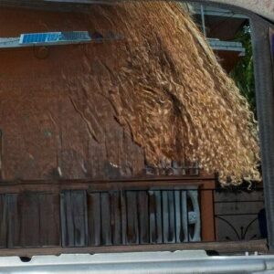 Different Type of Love (feat. Masicka) از Mahalia