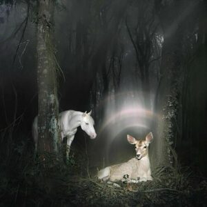 Don't Put It All On Me از Noah Cyrus