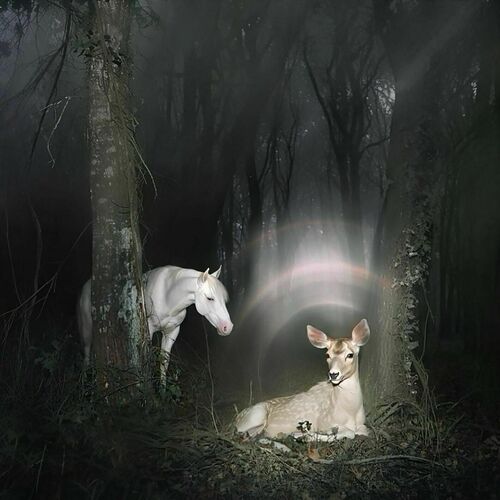 Don't Put It All On Me از Noah Cyrus