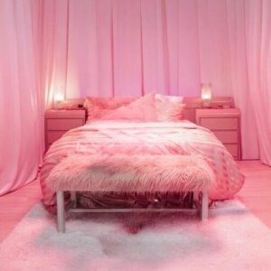 Soft Girl Era از Ari Lennox