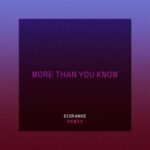 More Than You Know (Diorange Remix) از Axwell / Ingrosso