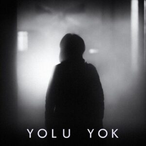 Yolu Yok (feat. Zerrin) از Serhat Durmus