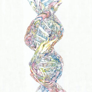 Dreamer's High از Radwimps