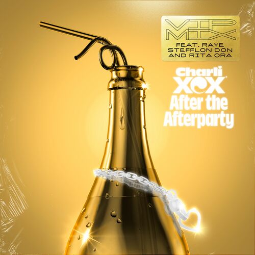 After the Afterparty (feat. RAYE, Stefflon Don and Rita Ora) (VIP Mix) از Charli xcx