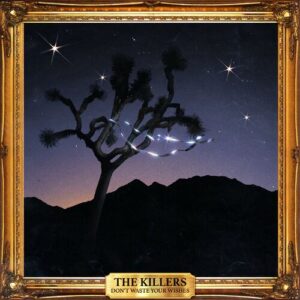 Don't Waste Your Wishes از The Killers