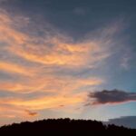 Feeling Whitney از Sydney Rose