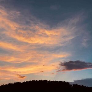 Feeling Whitney از Sydney Rose