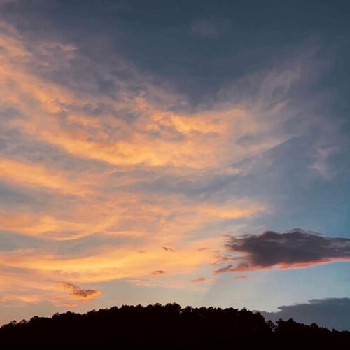 Feeling Whitney از Sydney Rose