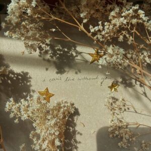 I can’t live without you (feat. Charlie Oriain) از Sydney Rose