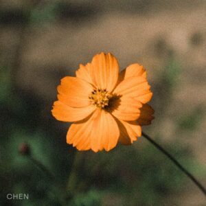 Before the Petals Fall از CHEN